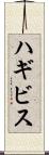 ハギビス Scroll