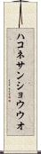 ハコネサンショウウオ Scroll