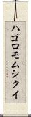 ハゴロモムシクイ Scroll
