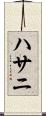 ハサニ Scroll