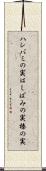 ハシバミの実 Scroll