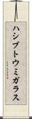 ハシブトウミガラス Scroll