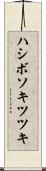 ハシボソキツツキ Scroll