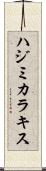 ハジミカラキス Scroll