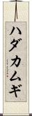 ハダカムギ Scroll