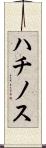 ハチノス Scroll