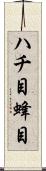 ハチ目 Scroll