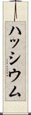 ハッシウム Scroll
