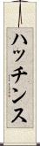 ハッチンス Scroll