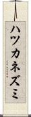 ハツカネズミ Scroll