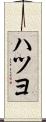 ハツヨ Scroll