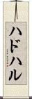 ハドハル Scroll