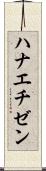 ハナエチゼン Scroll