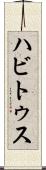 ハビトゥス Scroll