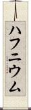 ハフニウム Scroll