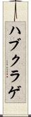 ハブクラゲ Scroll
