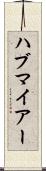 ハブマイアー Scroll