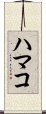 ハマコ Scroll