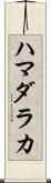 ハマダラカ Scroll