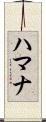 Hamana Scroll