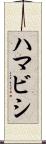 ハマビシ Scroll