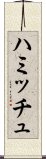 ハミッチュ Scroll