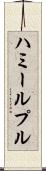 ハミールプル Scroll