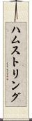 ハムストリング Scroll
