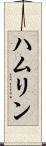 ハムリン Scroll