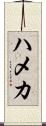 ハメカ Scroll