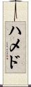ハメド Scroll