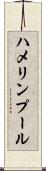 ハメリンプール Scroll