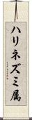 ハリネズミ属 Scroll