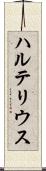 ハルテリウス Scroll