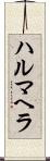 ハルマヘラ Scroll