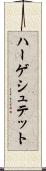 ハーゲシュテット Scroll