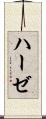 ハーゼ Scroll