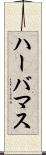 ハーバマス Scroll