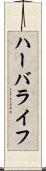 ハーバライフ Scroll