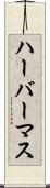 ハーバーマス Scroll