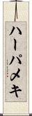 ハーパメキ Scroll