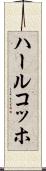 ハールコッホ Scroll