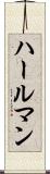 ハールマン Scroll