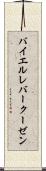 バイエル・レバークーゼン Scroll