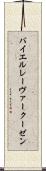 バイエル・レーヴァークーゼン Scroll