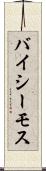 バイシーモス Scroll