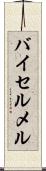 バイセルメル Scroll