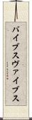 バイブス Scroll