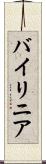 バイリニア Scroll
