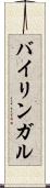 バイリンガル Scroll